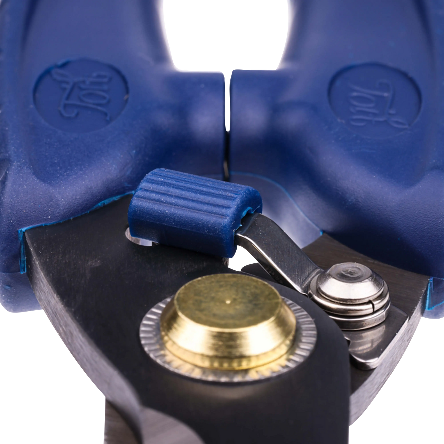 Toit Stainless Steel Scissors